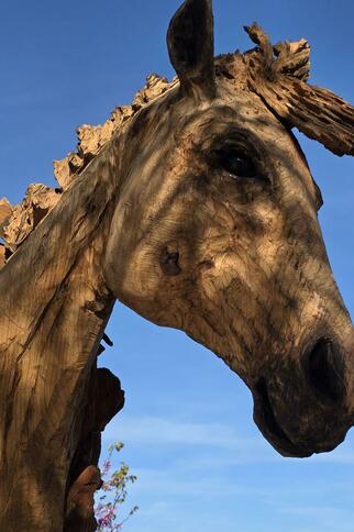 Sculpture d'une tête de cheval dans le cadre de l'exposition monumentale Sylvain  Dautremay : « Je rêve juste de liberté » à Gassin