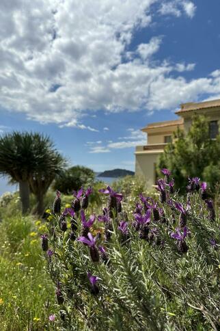 Fête de saison Printania_Rayol-Canadel sur Mer