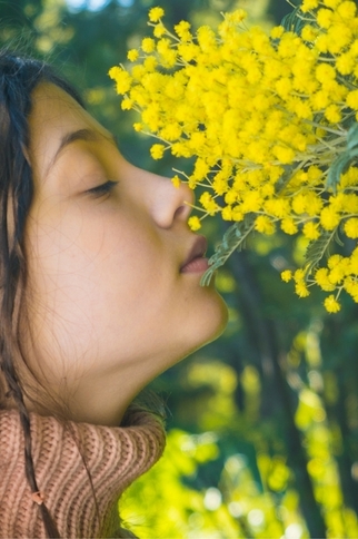 Fête du Mimosa à Sainte-Maxime