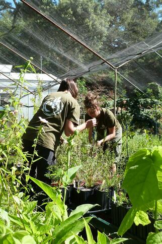 Formation "Semis et bouturage"_Rayol-Canadel sur Mer