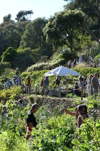 Gondwana, la Fête des Plantes Méditerranéennes