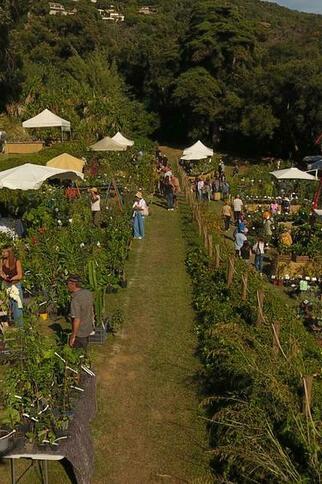 Gondwana, la Fête des Plantes Méditerranéennes