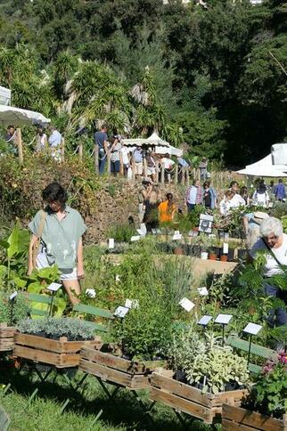 Gondwana, la Fête des Plantes Méditerranéennes