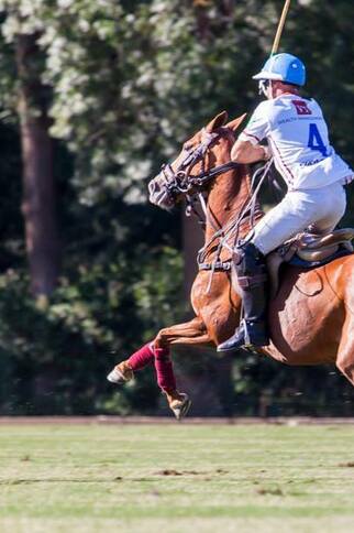 Match de polo