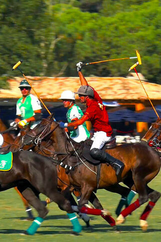Polo Club de Saint-Tropez - Haras de Gassin