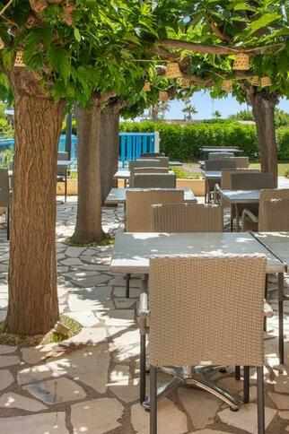 Terrasse Ombragée