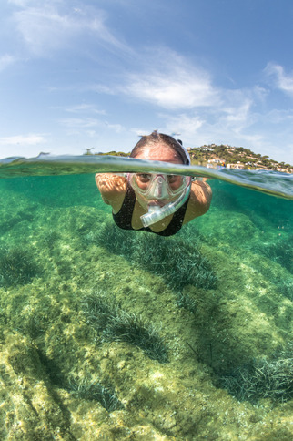 Balade aquatique à la Pointe des Sardinaux