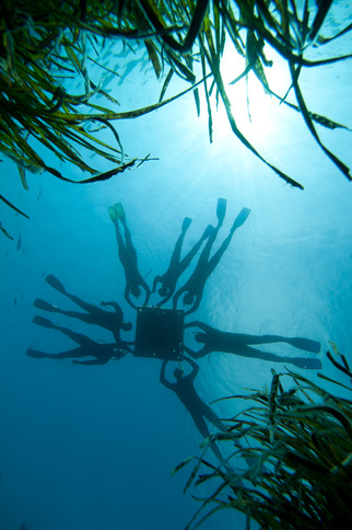 Balade aquatique à la Pointe des Sardinaux