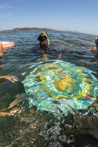 Balade aquatique à la Pointe des Sardinaux