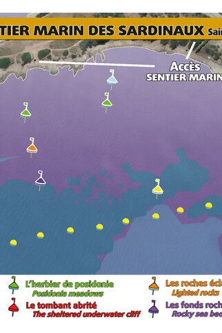 Balade aquatique à la Pointe des Sardinaux