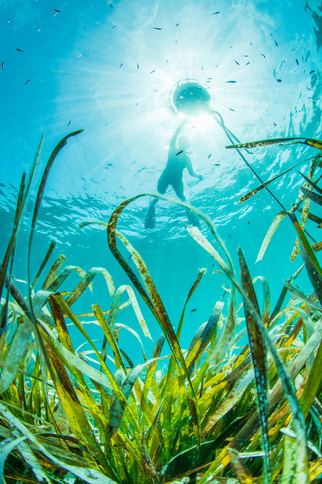Balade aquatique à la Pointe des Sardinaux