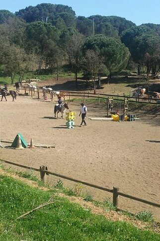 Centre équestre l'Étalon Papillon