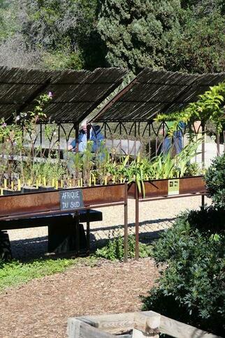 La pépinière du Domaine du Rayol_Rayol-Canadel sur Mer