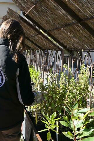 La pépinière du Domaine du Rayol_Rayol-Canadel sur Mer