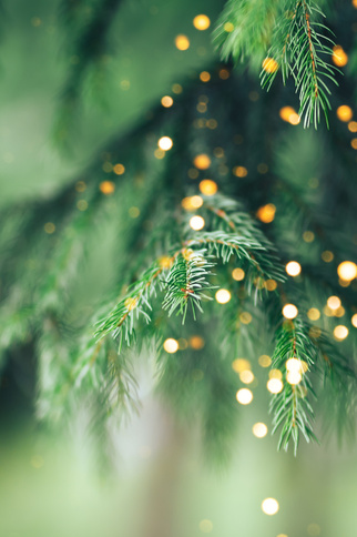 La veillée de noël : les traditions sacrées et gourmandes du Noël Provençal._Sainte-Maxime