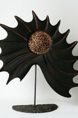 Soleil noir