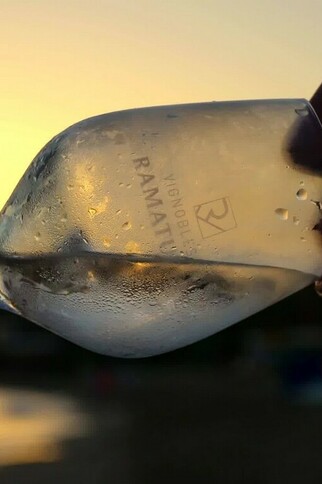 Vignobles de Ramatuelle