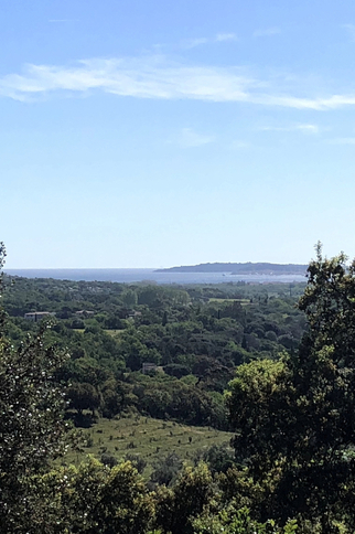 Panorama des collines verdoyantes de Grimaud et ses alentours