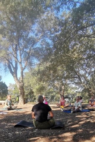 Les matins bien-être