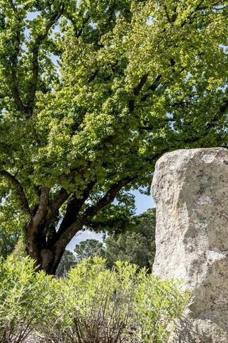 Menhir à Grimaud