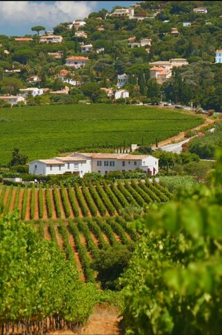 Les traces du Passé