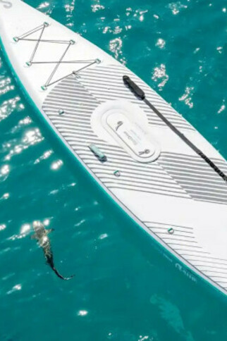 Location de e-paddles (Sipaboard)