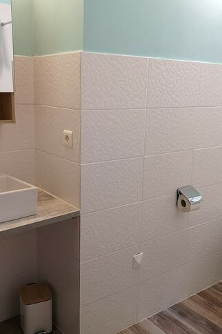 salle de douche avec WC