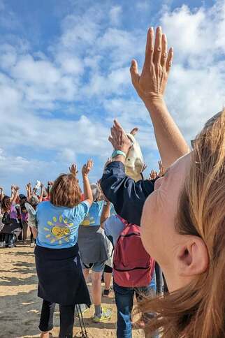 Marche solidaire