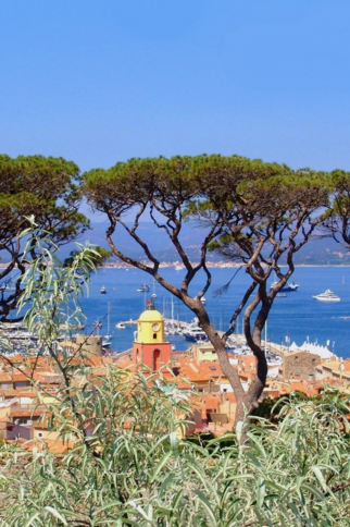Saint-Tropez-Groupes-Patrimoines