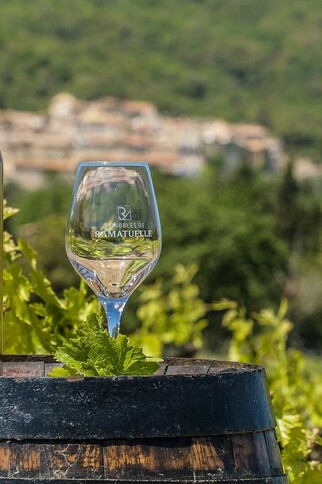 Vignobles de Ramatuelle