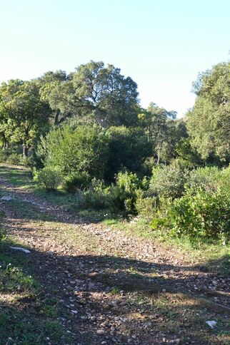 Randonnée des Panoramas
