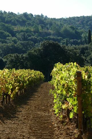 Randonnée des Panoramas