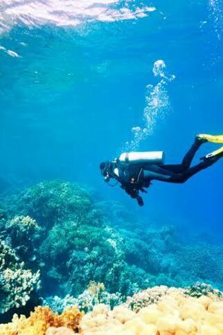 Plongée / Diving