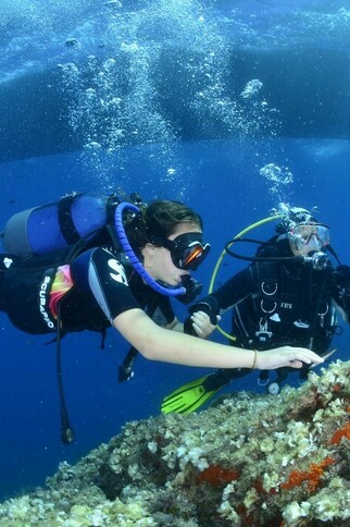 A la découverte des fonds marins