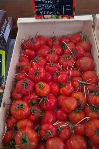 Tomates au Primeurs Cyclades de Gassin - https://gassin.eu