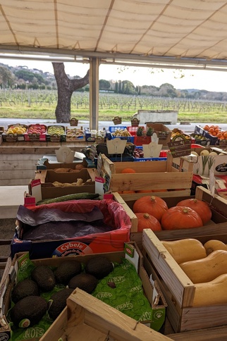 Stand légumes