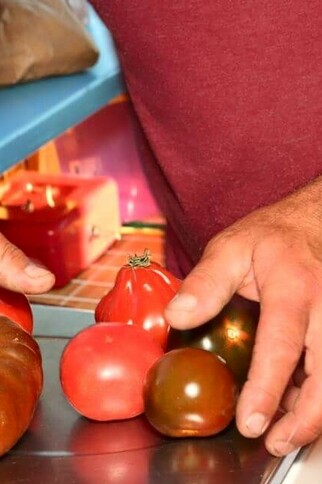 Tomates aux Primeurs Cyclades de Gassin - https://gassin.eu