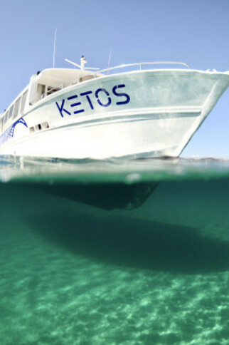Privatisation du bateau Ketos avec plongée et snorkeling