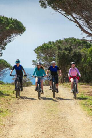 Group offer / E-Bike ride with guide