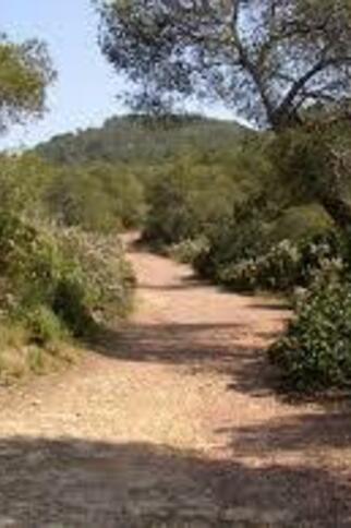 Randonnée au Pradet " La Colle Noire"