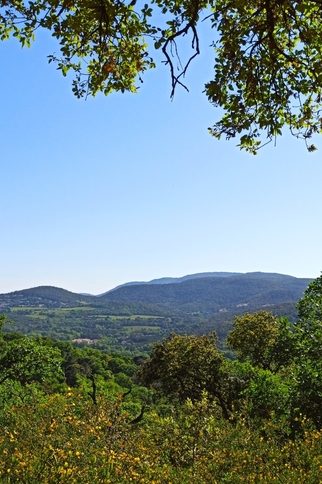 Vue sur les vignes de Chausse sur le sentier de la mer à Gassin https://gassin.eu