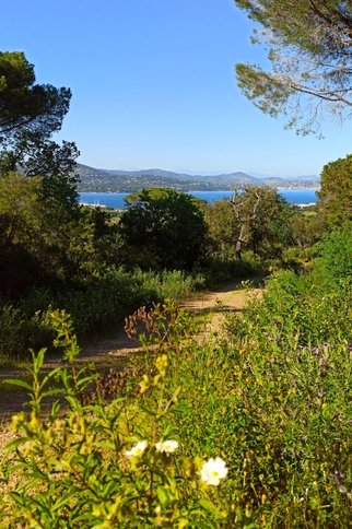 Vue sur le golfe de Saint-Tropez https://gassin.eu