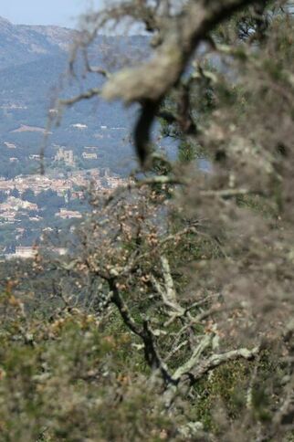 Vue sur le village de Grimaud