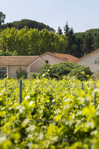 Domaine du Bourrian