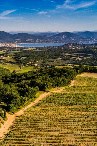 Vignobles de Ramatuelle