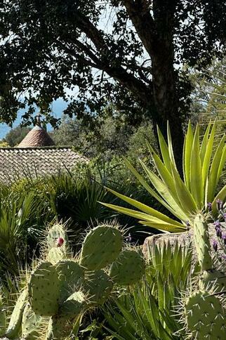 Rendez-vous aux Jardins_Rayol-Canadel sur Mer
