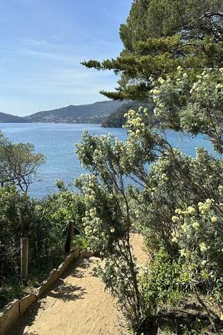 Rendez-vous aux Jardins_Rayol-Canadel sur Mer