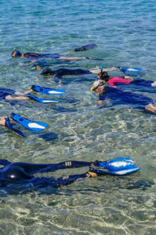 Snorkeling in the Mediterranean Sea