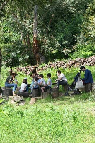 Sous l’arbre aux histoires_Rayol-Canadel sur Mer
