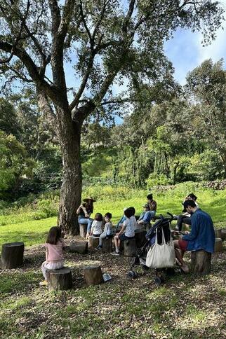 Sous l’arbre aux histoires_Rayol-Canadel sur Mer